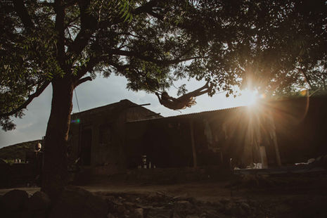 a person is laying in a hammock under a tree
