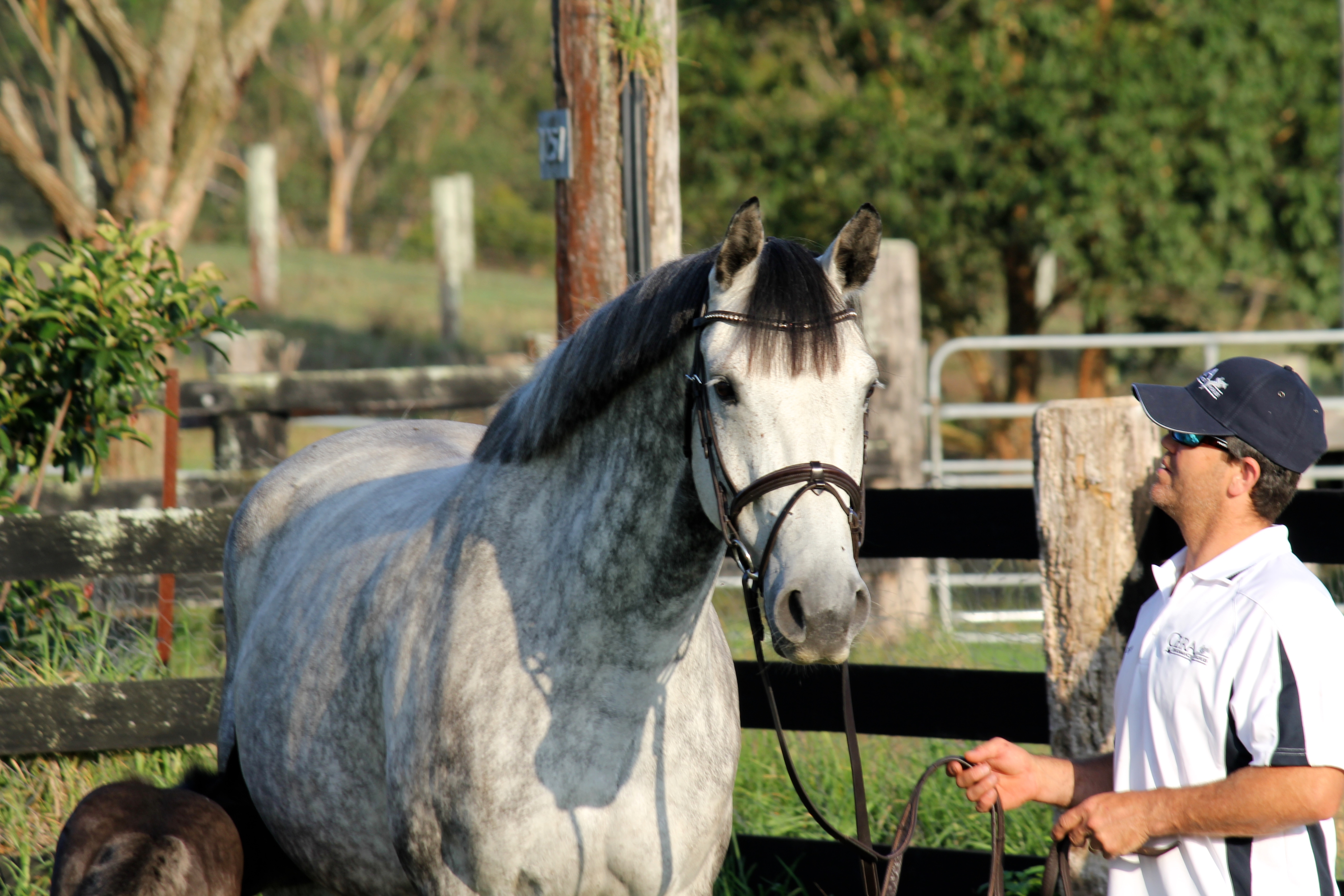Beate (Askari x Carolus I)