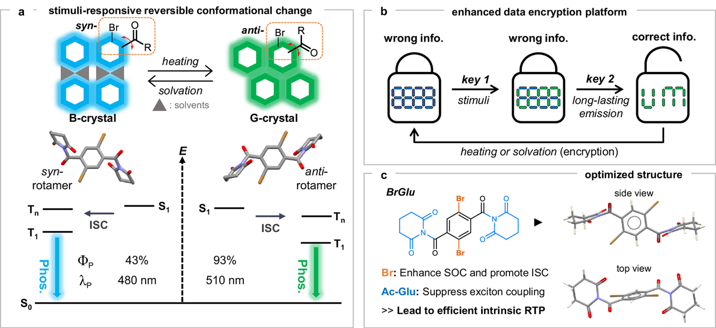 Reversible phosphorescence color switching of BrGlu between green and blue crystals