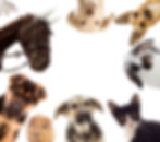 AdobeStock_85898061.jpeg