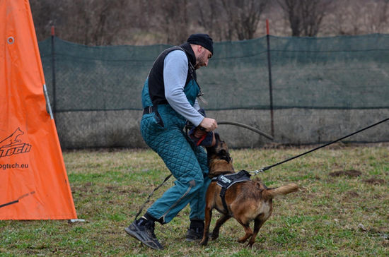 Belgian Malinois Breeder