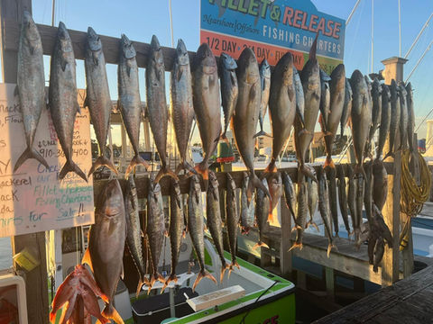 Fillet & Release Fishing Charter.jpg