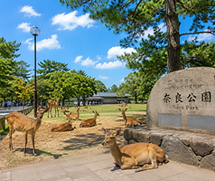 嵐山.png