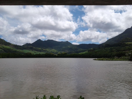 Sud secret ... Secret South ...