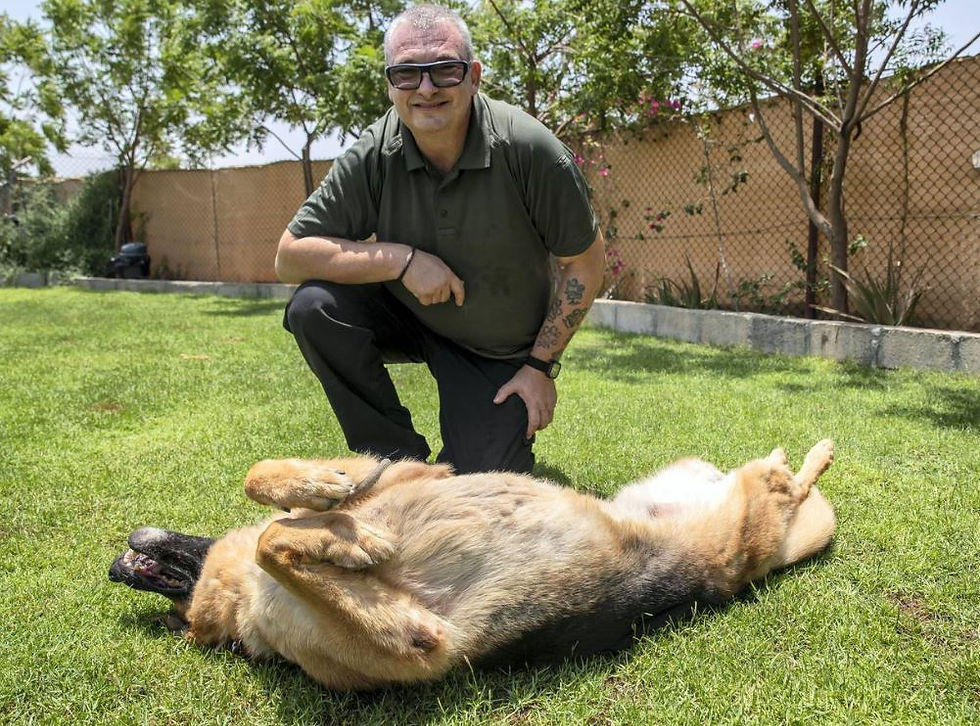 DUBAI,PETS,ENVIRONMENTANDNATURE,ABU DHABI