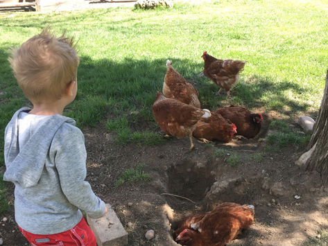 Afternoon Adventures: Our Visit to Triple C Farm