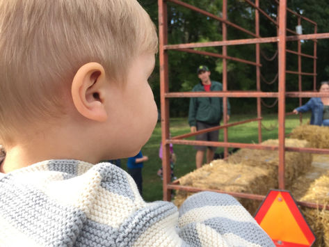 Afternoon Adventures: Fall Festival at Brantwood Farms