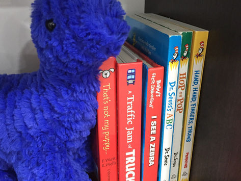Fostering a Love of Reading- Baby’s Favourite Books at 6 Months