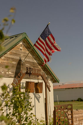 09D79C90-089D-4482-A7A7-A290235340BA.jpeg