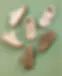 NEW_3.webp