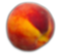 Fuzzy Peach - Skin before Dermaplanning