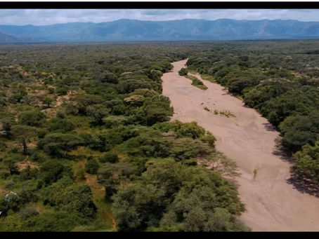 Charting New Futures in Africa's Drylands