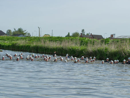 Latest Blog from Steve