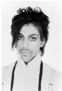 second circuit decisions