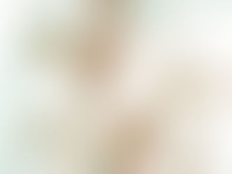 The Fourth Wife book cover