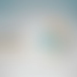 Understanding Take-Private Transactions: Rationales and Examples