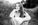 Maine senior girl ~ Fields and flowers ~ Maine HS senior photographer