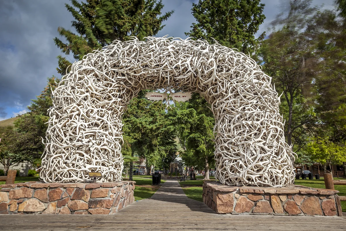 jackson hole.webp