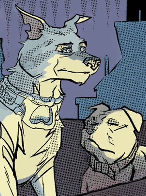 Two dogs on a city rooftop