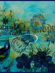 Debra Hart Studios Image