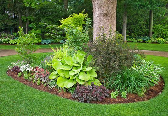 LAWN MAINTENANCE