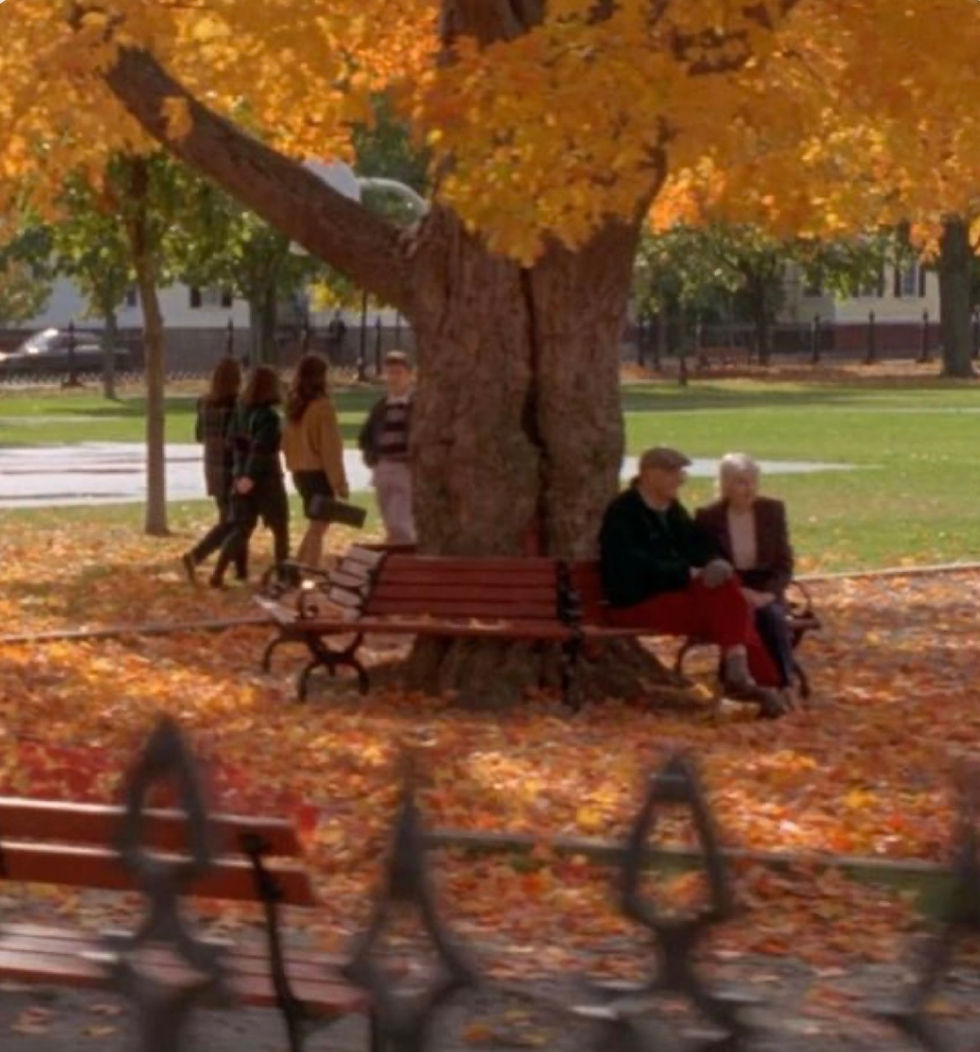 Nostalgia ~ the feeling of the season