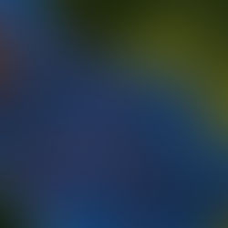 To the little girls …