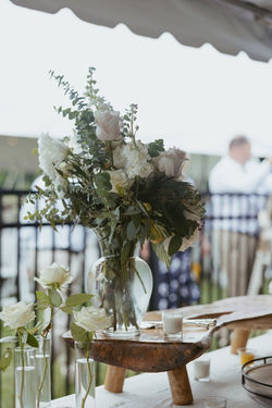 Planting Roots & Co