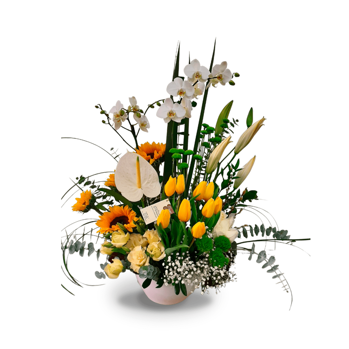 Floral eres una dulzura