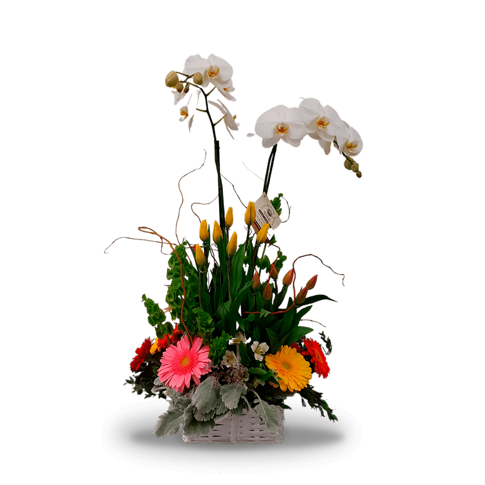 Ocasiones especiales canasta alegre