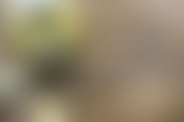 Il magico mondo di uno scrittore!