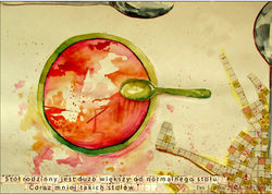 Illustration I