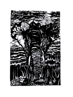 The elephant II