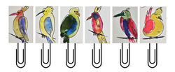 Birds