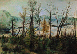 Nature IV
