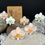 Thumbnail: Beige Orchids