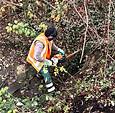 Grünpflege Heckenschneiden Bepflanzung Startseite