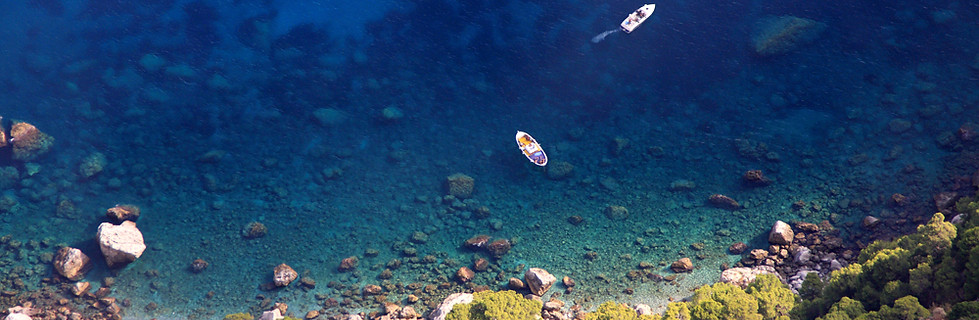 Shoreline from Above