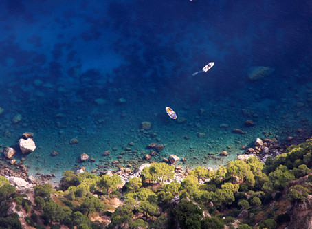 Saving the deep blue sea