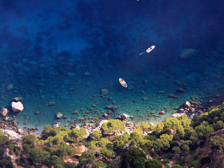 Amazing discoveries of new marine life