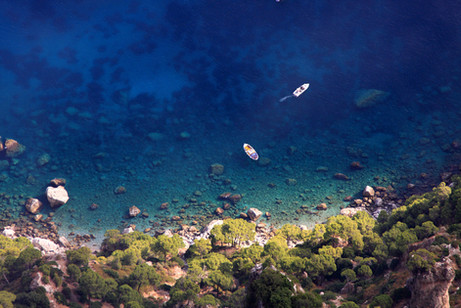 Shoreline from Above