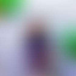 Charles I Guarria Reporter Hometown News Volusia County Florida