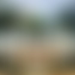 Kimpton Shorebreak Fort Lauderdale Beach Resort. Pool, Restaurant La Fuga, Bar Escape