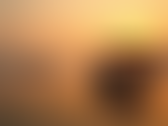 Discover Tailored Udaipur Travel Packages