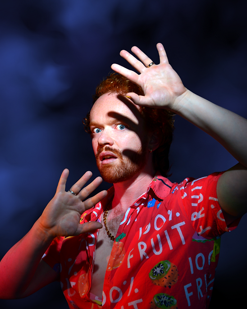 The Heterosexuals - alt image 2.png