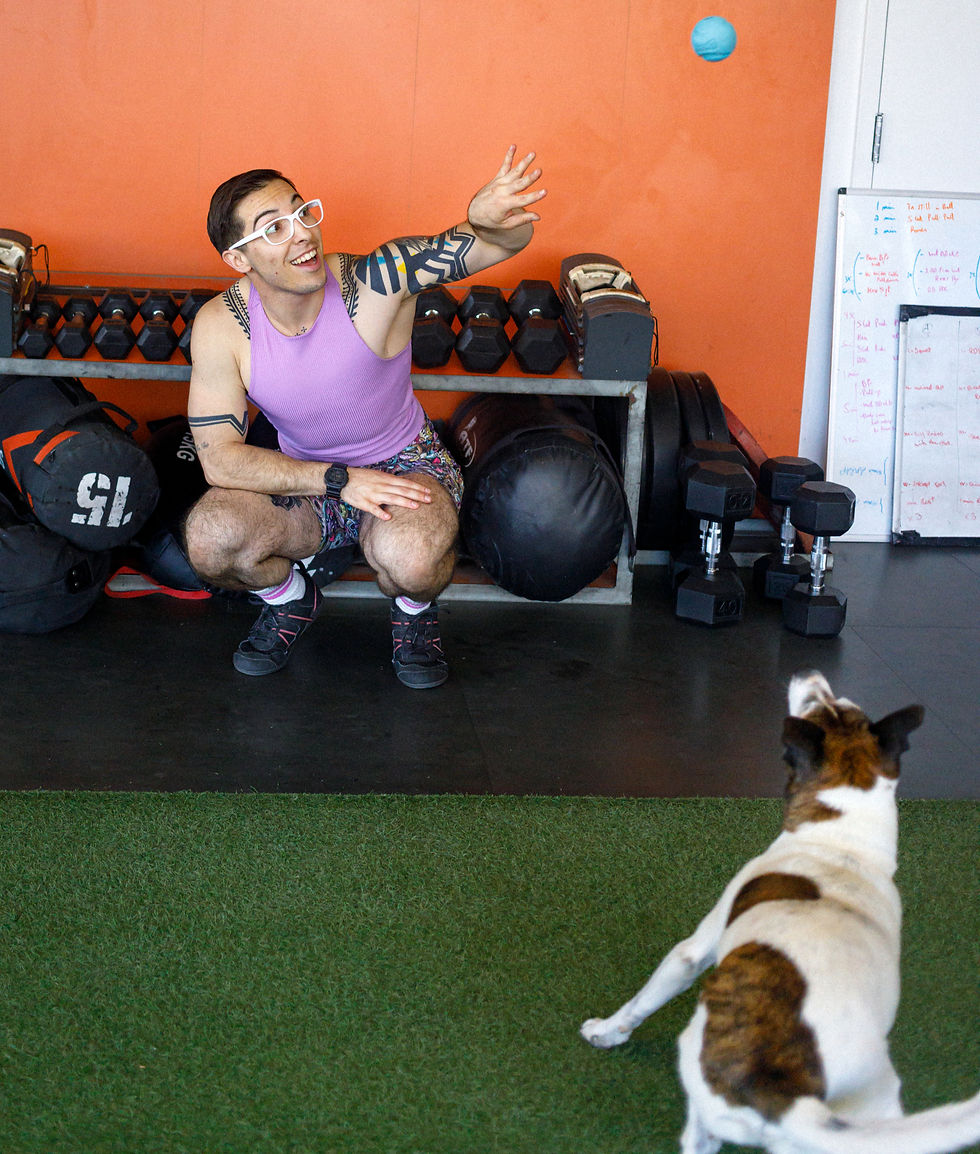 Coach Dibs throwing a ball to their dog Medo. Orange background. In a gym.