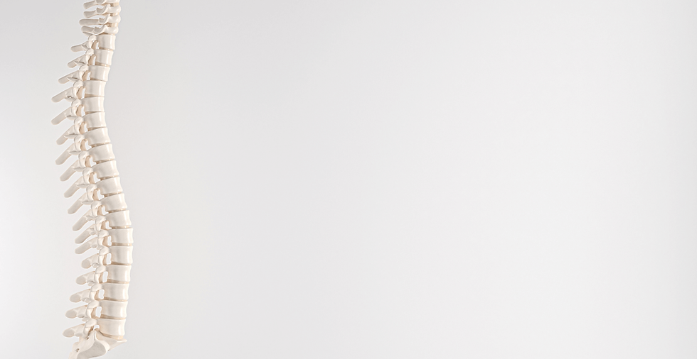 Chiropractor fade (1920 x 1079 px)(1)(1).png