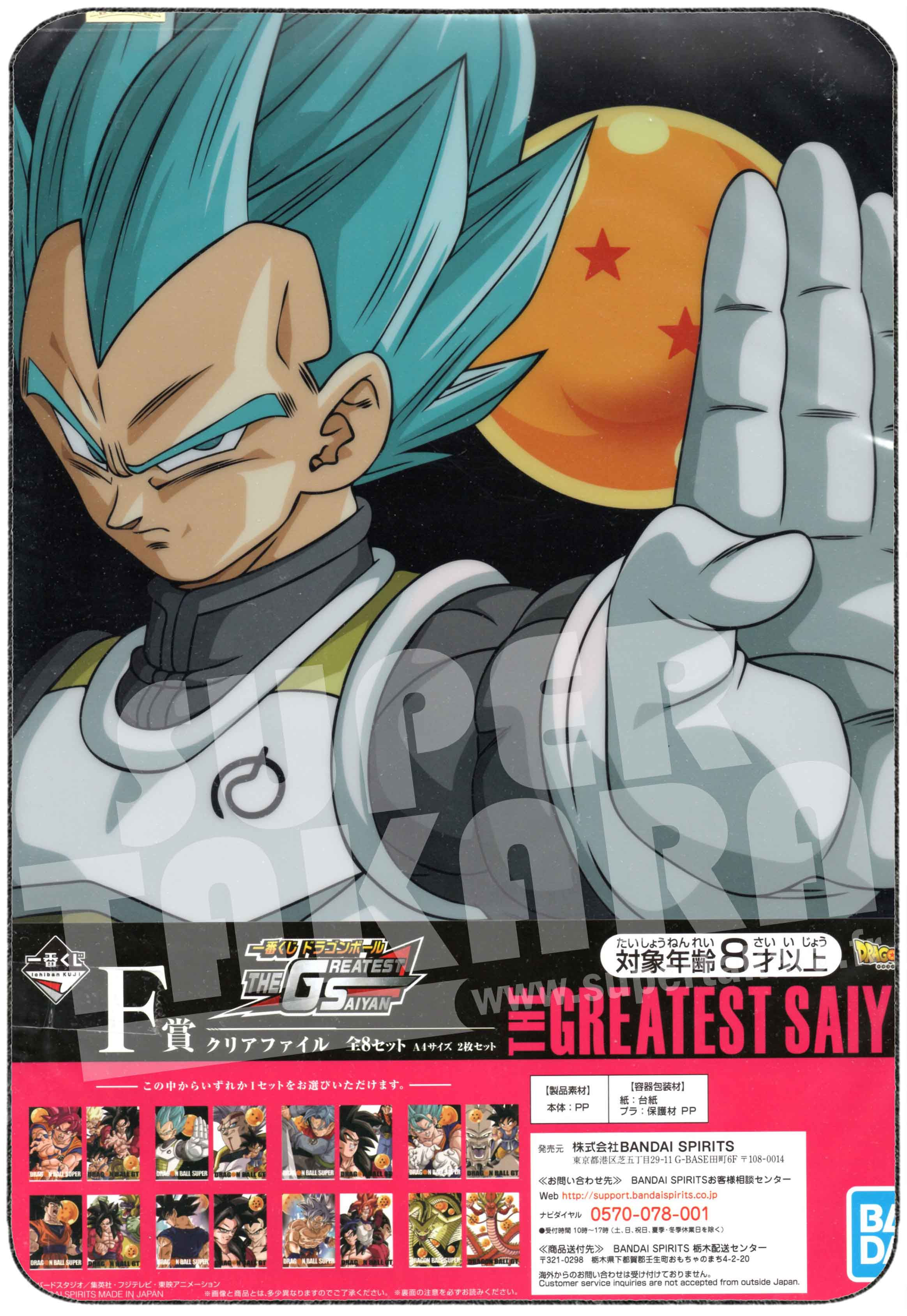 DRAGON BALL Clear file