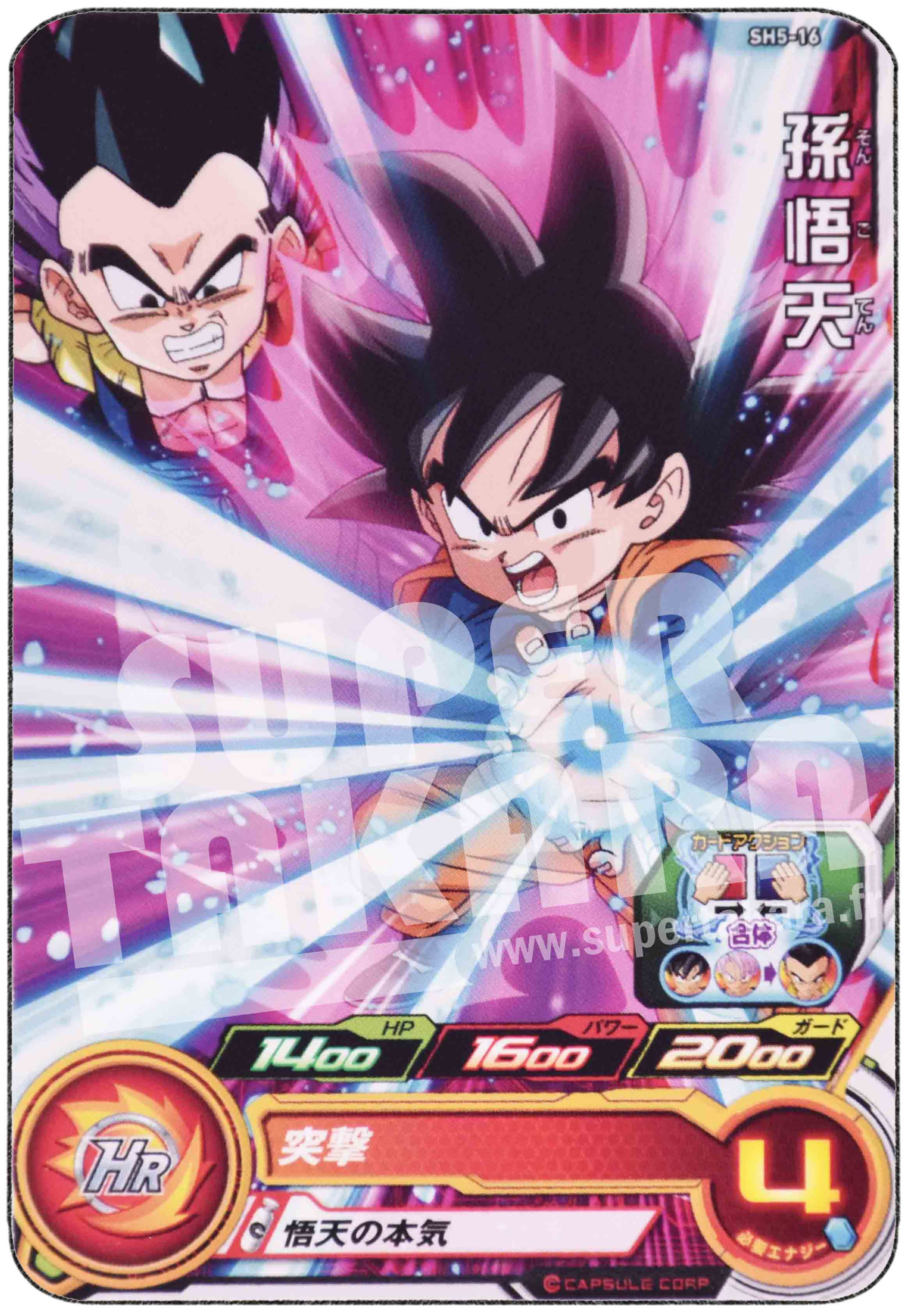 Carte n° SH5-16