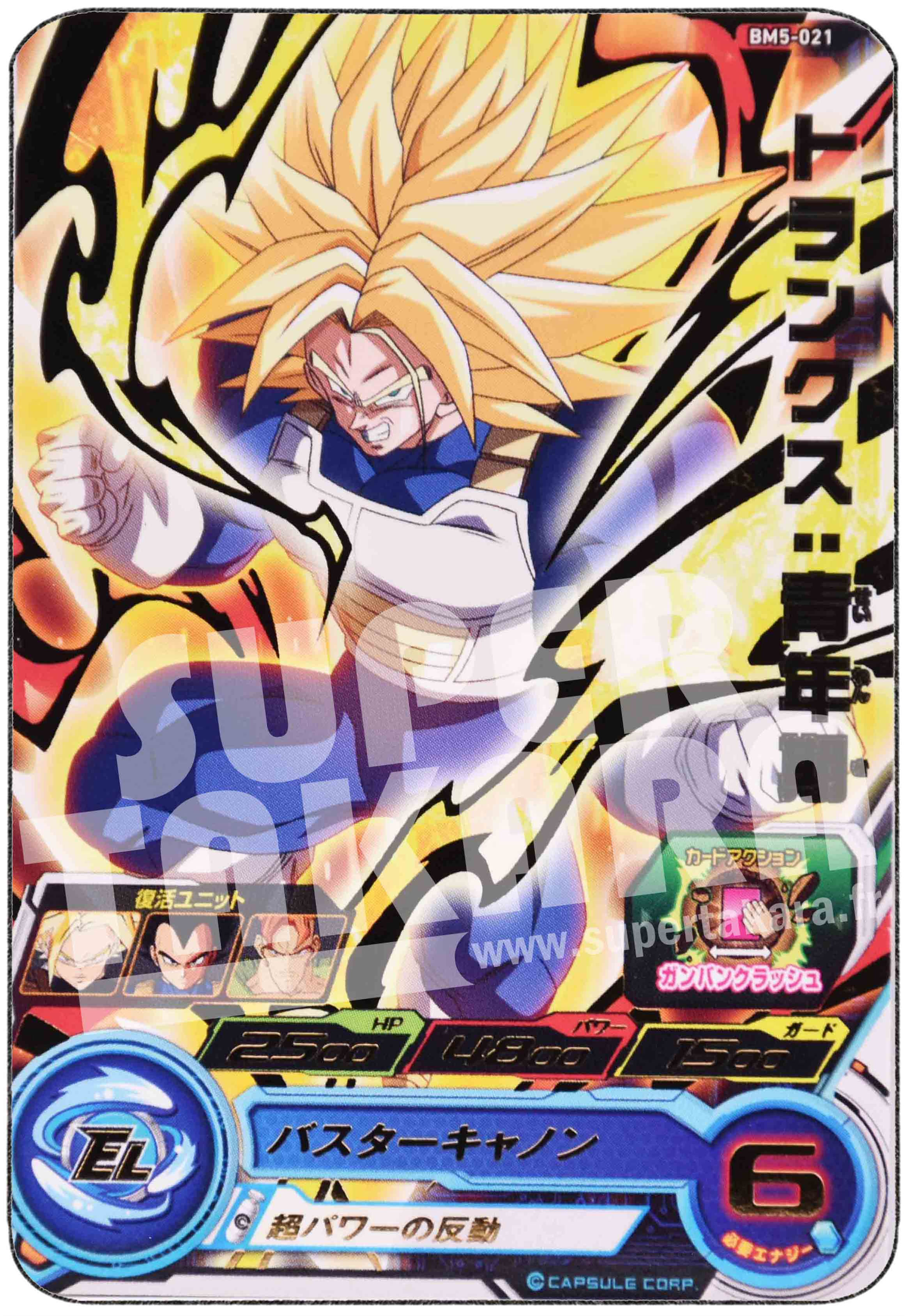 Carte n° BM5-021